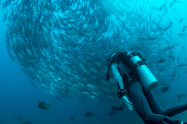 nothaugen scuba